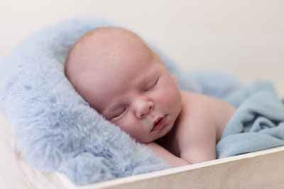 Cécile Pollet Photographe