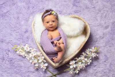 Nid'Ange Photographie