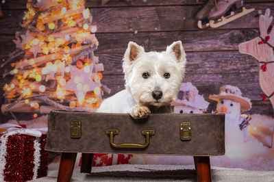 Photo Mouv' Proyart Marie-Audrey