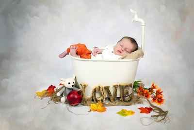 LISABELLA PHOTOGRAPHIE