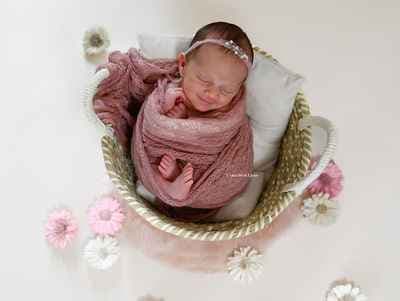 L'objectif de Laurie