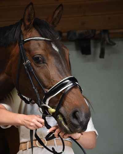 Manon HD Photographie