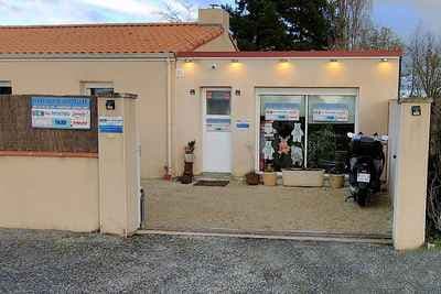 Studio Portrait Digital