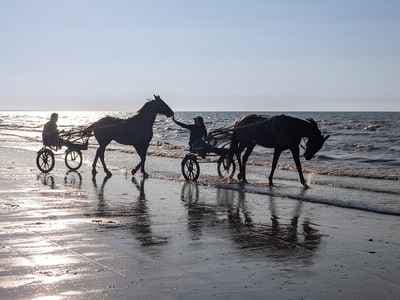 SHADOWS PHOTOGRAPHIE - Photographe Normandie