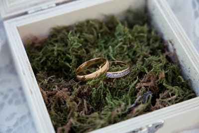 Amelie.R-Photographies