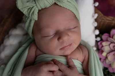 Elora Verolin Photographe • Grossesse • Naissance • Famille • Mariage