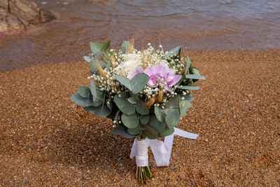 LB Instant d'une Vie