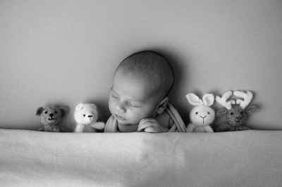 Delphine Delavaud Photographie