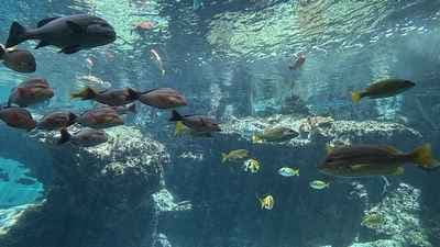 Adrienn Hervé Photographie