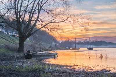 Laurent Sauvel photographe