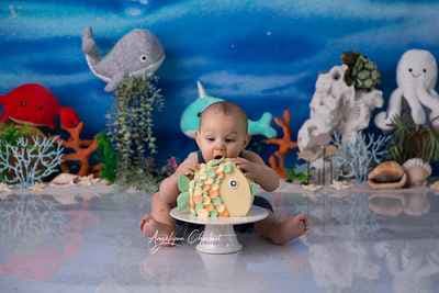 Angélique chesnet photographe