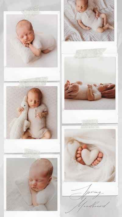 Celine Coussau Photographies