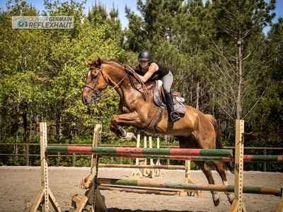 Studio.Reflexhaut - Photographe