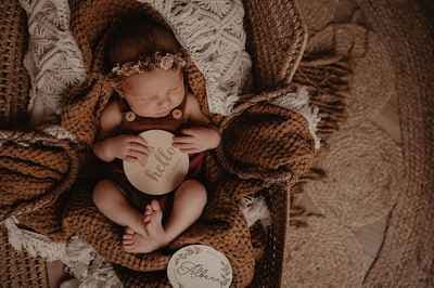 Chocolat Praliné Photographie