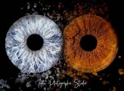 ADN PHOTOGRAPHIE STUDIO