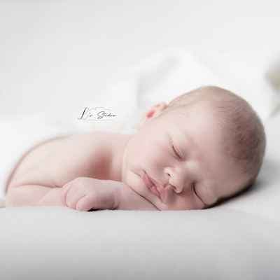 L's Studio (Linda Pineau Photographie)