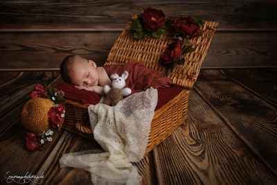 Enagrom photographie.