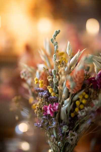 Margotine Photographies