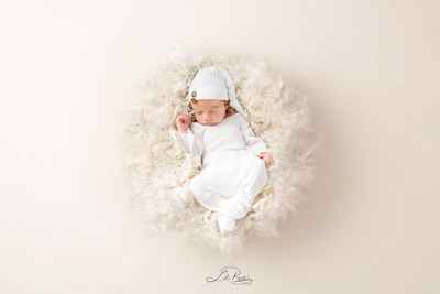 LiliRosePhoto