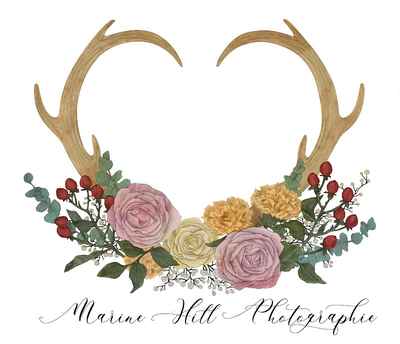 Marine Hill Photographie