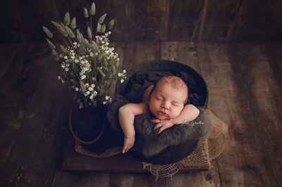 Sophie Gaudin Photographe