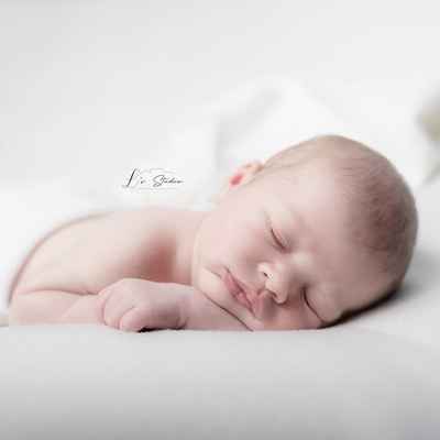 L's Studio (Linda Pineau Photographie)